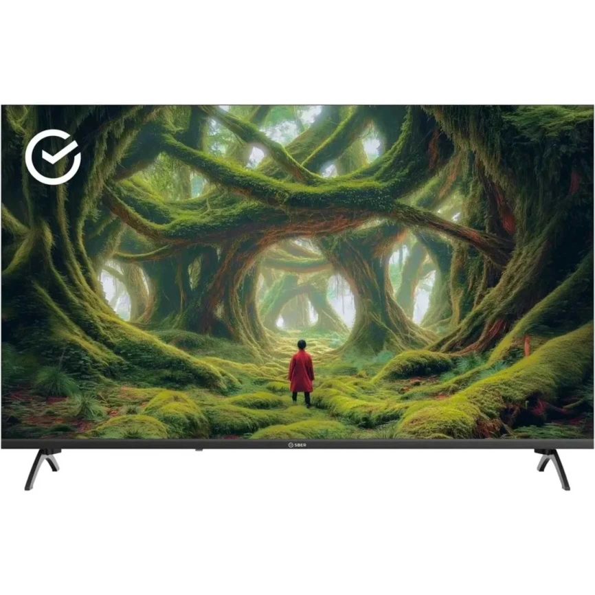 Телевизор Sber 43" LED FHD Салют ТВ (SDX-43F3000DBA) фото 1